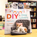 DIY for Dog Lovers: 36 Paw-some Canine Crafts
