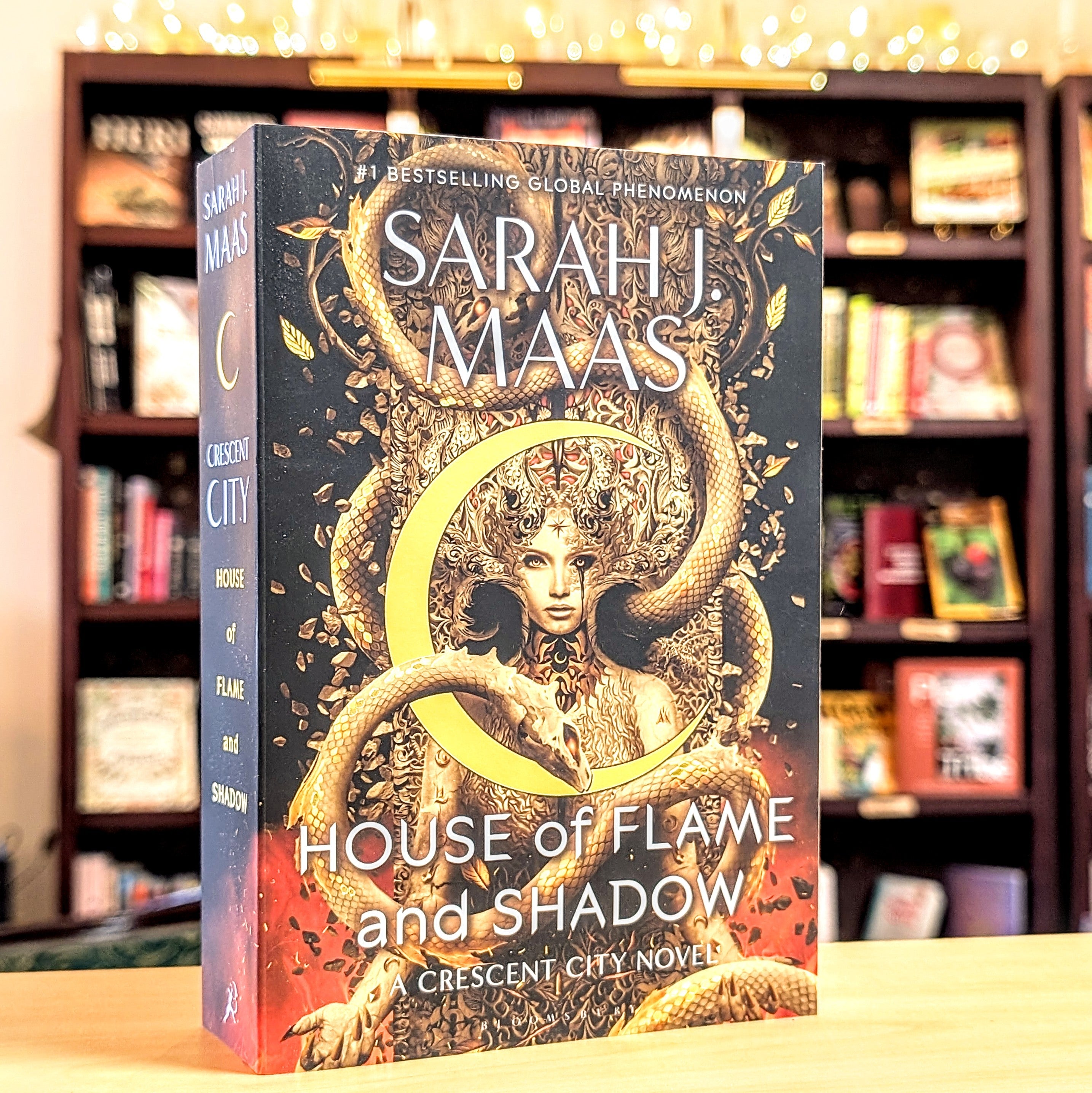 House of Flame and Shadow